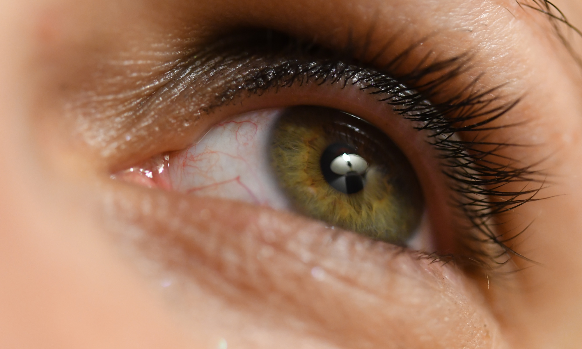 Le Regard